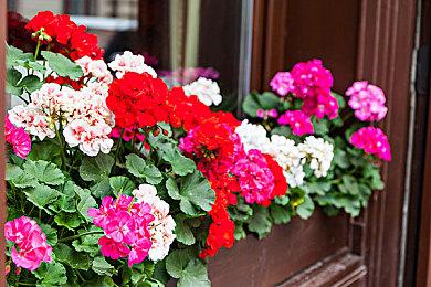 日服NSO试玩同乐会免费游玩 《马力欧+疯狂兔子 王国之战》